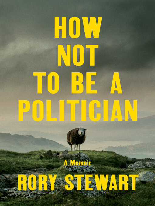 Title details for How Not to Be a Politician by Rory Stewart - Wait list